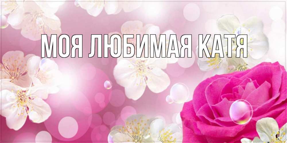 Открытка на каждый день с именем, Моя-любимая-Катя Главная красивые цветы Прикольная открытка с пожеланием онлайн скачать бесплатно 