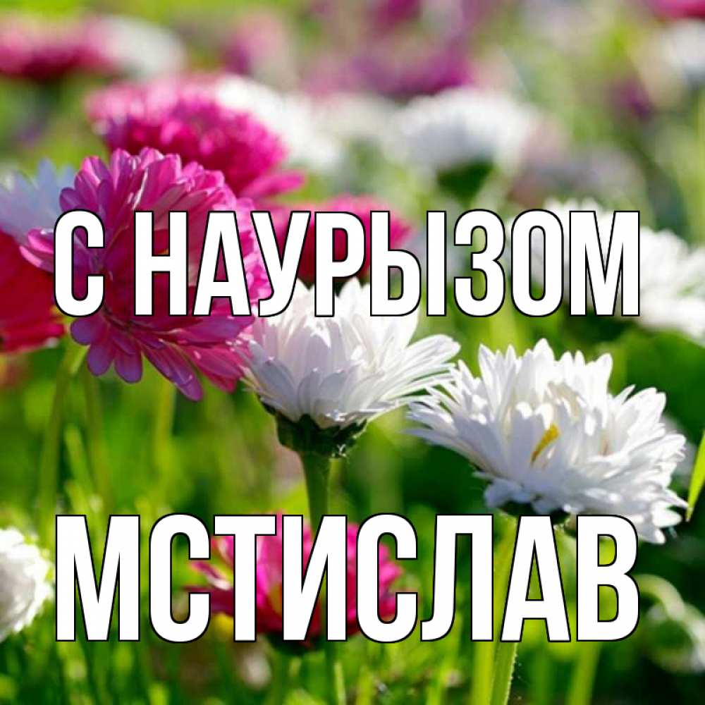 Открытка на каждый день с именем, Мстислав С наурызом праздник весны наурыз красота Прикольная открытка с пожеланием онлайн скачать бесплатно 