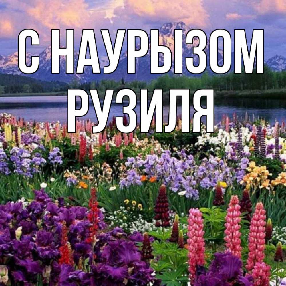 Открытка на каждый день с именем, Рузиля С наурызом праздник весны наурыз Прикольная открытка с пожеланием онлайн скачать бесплатно 