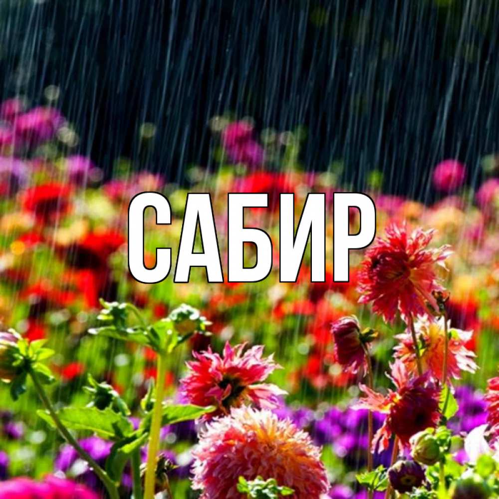 Открытка на каждый день с именем, Сабир Главная цветы под дождиком к международному женскому дню Прикольная открытка с пожеланием онлайн скачать бесплатно 
