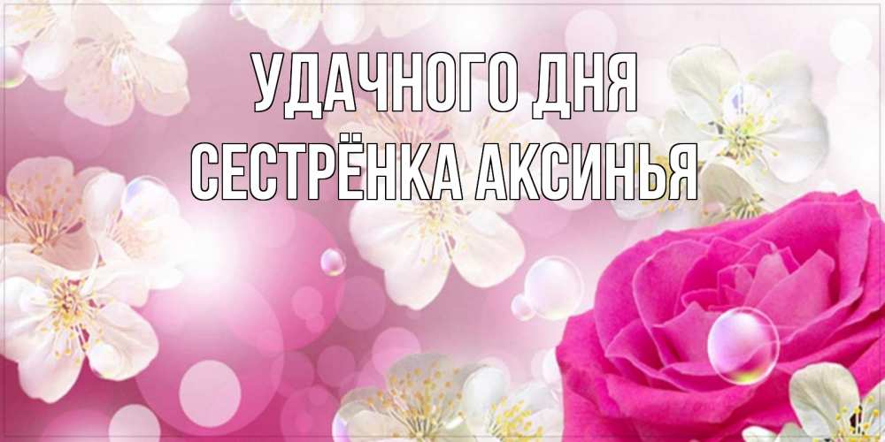 Открытка на каждый день с именем, Сестрёнка-Аксинья Удачного дня красивые цветы Прикольная открытка с пожеланием онлайн скачать бесплатно 