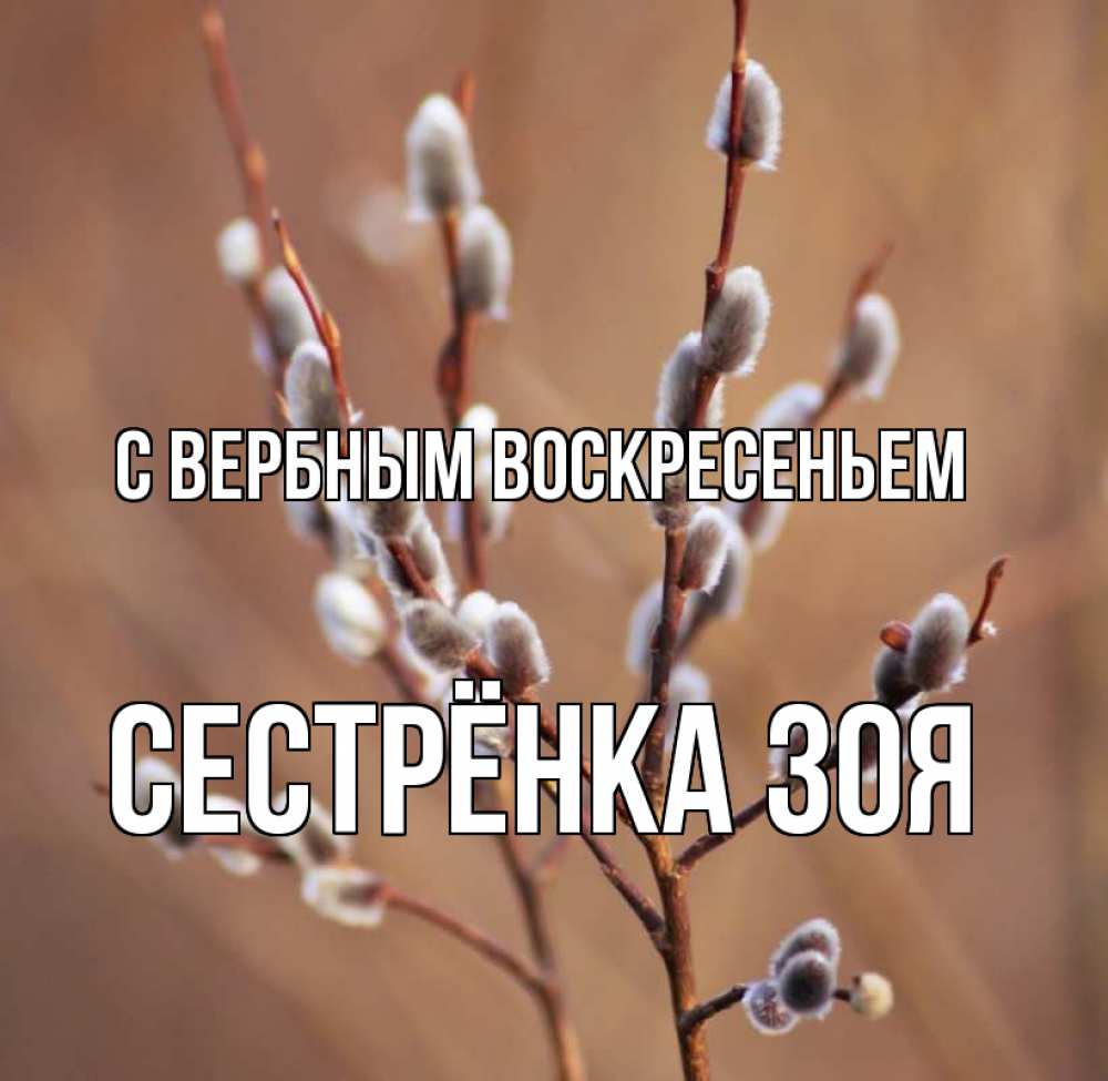 Открытка на каждый день с именем, Сестрёнка-Зоя С вербным воскресеньем верба Прикольная открытка с пожеланием онлайн скачать бесплатно 