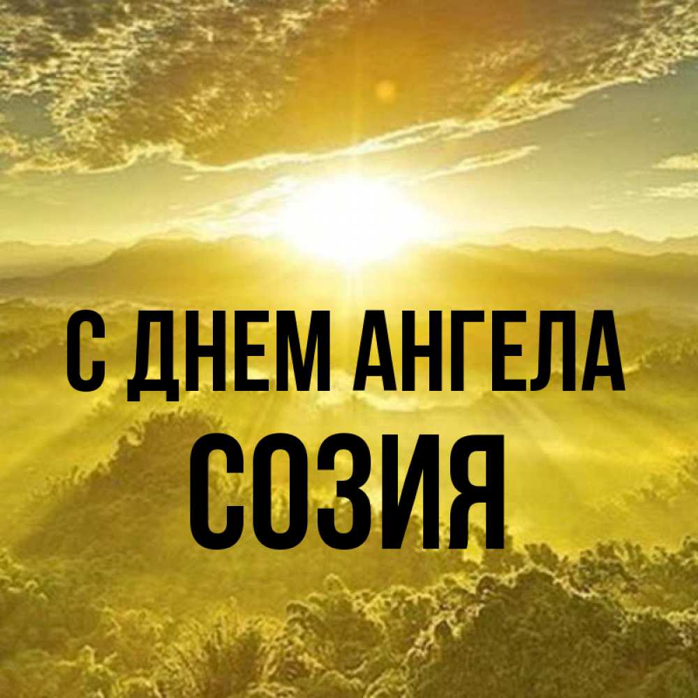 Открытка на каждый день с именем, Созия С днем ангела леса и небо в желтом Прикольная открытка с пожеланием онлайн скачать бесплатно 