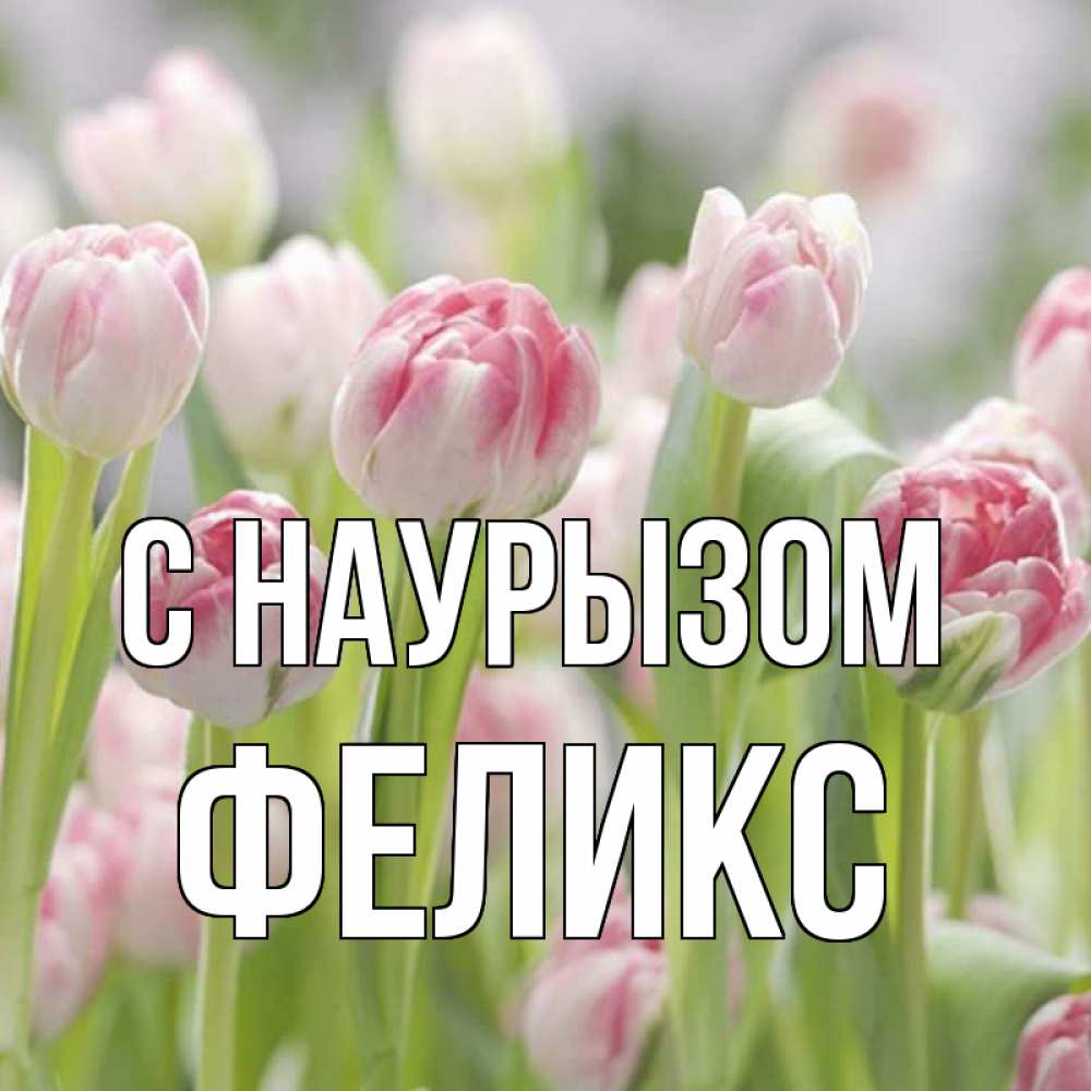 Открытка на каждый день с именем, Феликс С наурызом цветы Прикольная открытка с пожеланием онлайн скачать бесплатно 