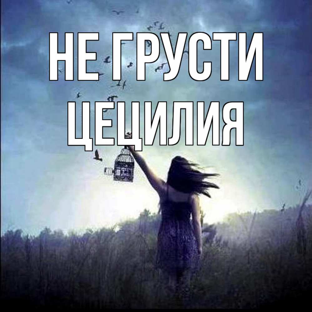 Открытка на каждый день с именем, Цецилия Не грусти на волю Прикольная открытка с пожеланием онлайн скачать бесплатно 