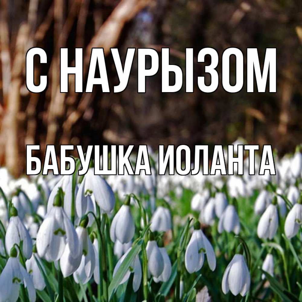 Открытка на каждый день с именем, Бабушка-Иоланта С наурызом с подснежниками 1 Прикольная открытка с пожеланием онлайн скачать бесплатно 