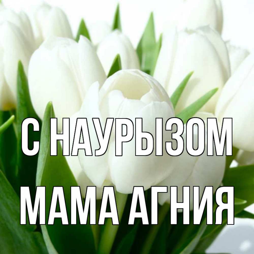 Открытка на каждый день с именем, Мама-Агния С наурызом цветы Прикольная открытка с пожеланием онлайн скачать бесплатно 