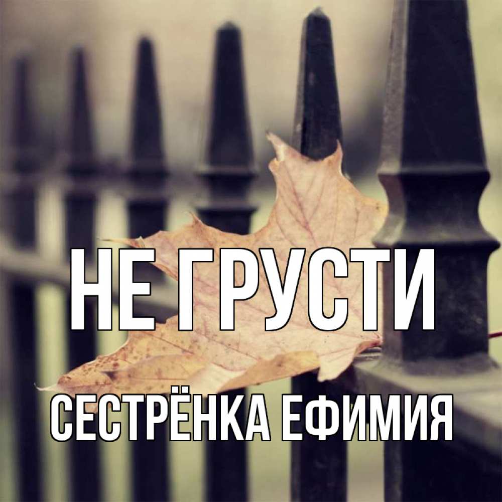 Открытка на каждый день с именем, Сестрёнка-Ефимия Не грусти лист клена Прикольная открытка с пожеланием онлайн скачать бесплатно 
