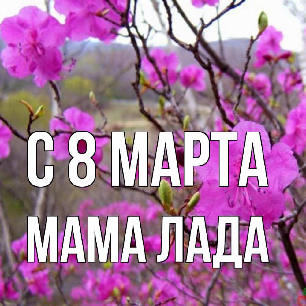 Картинка С 8 марта, Мама Лада