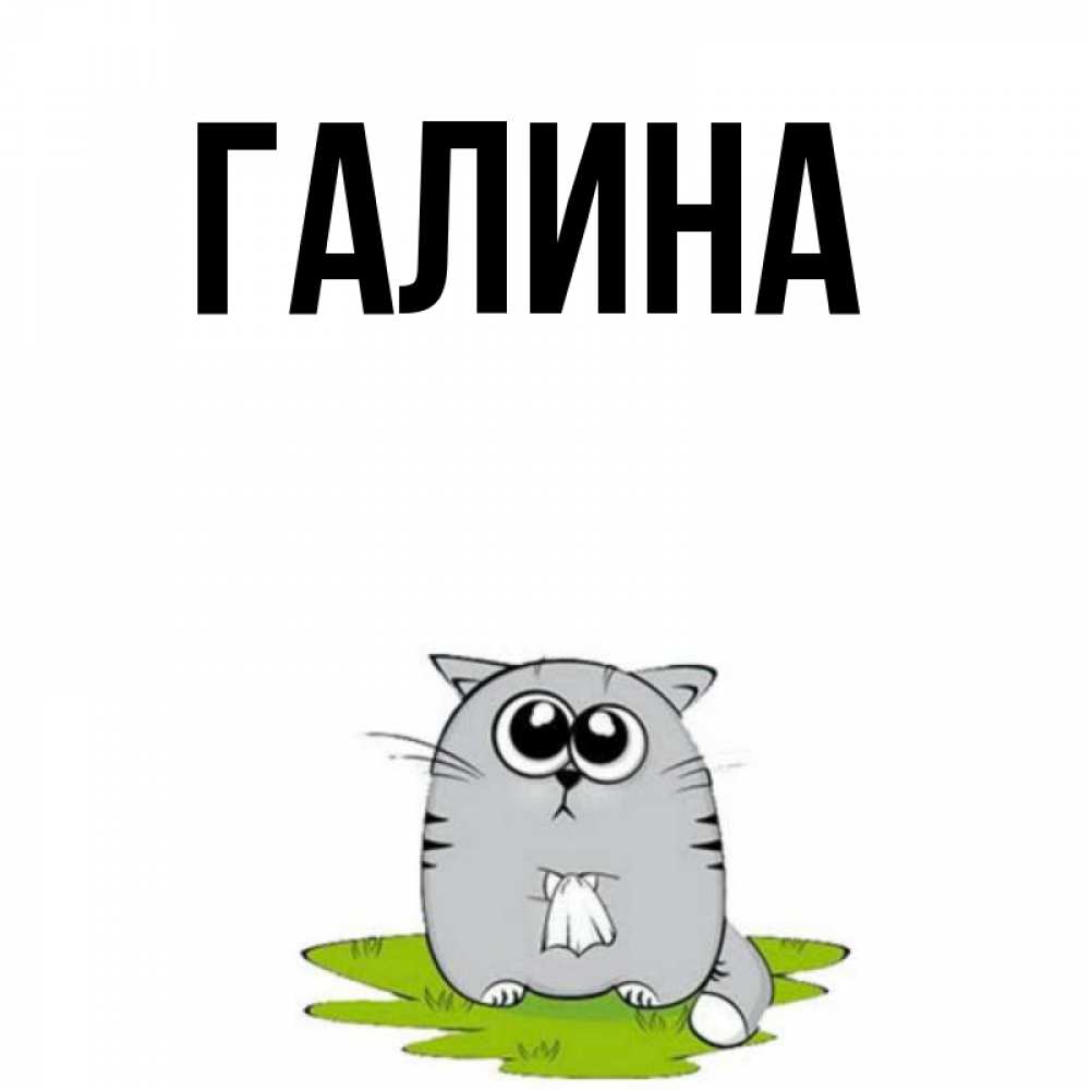 Открытка на каждый день с именем, Галина Главная котик теребит платочек сидя на травке Прикольная открытка с пожеланием онлайн скачать бесплатно 