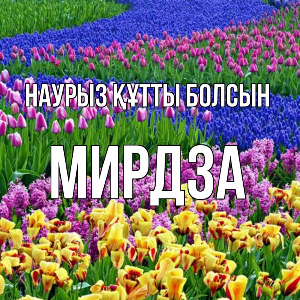 Открытка на каждый день с именем, Мирдза Наурыз құтты болсын цветы Прикольная открытка с пожеланием онлайн скачать бесплатно 
