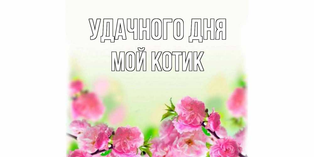 Открытка с именем, Мой Котик, Удачного дня