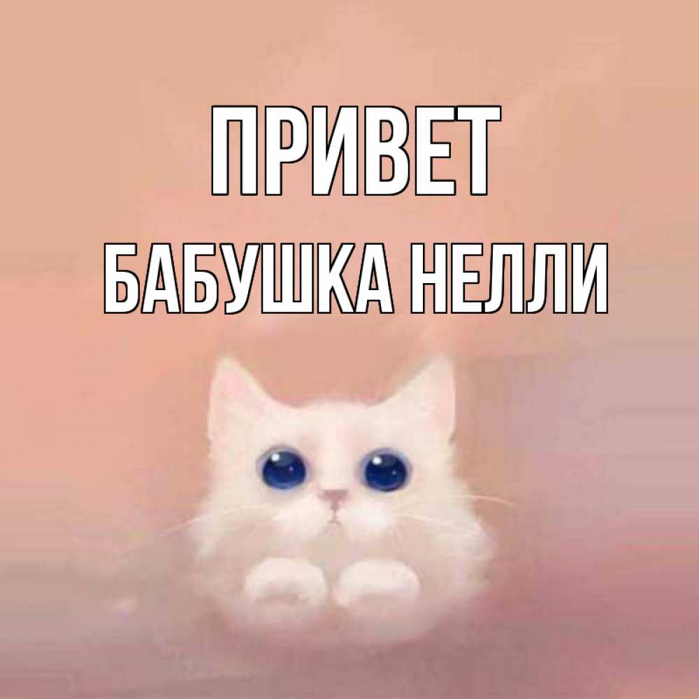 Открытка на каждый день с именем, Бабушка-Нелли Привет котик белый в полете Прикольная открытка с пожеланием онлайн скачать бесплатно 