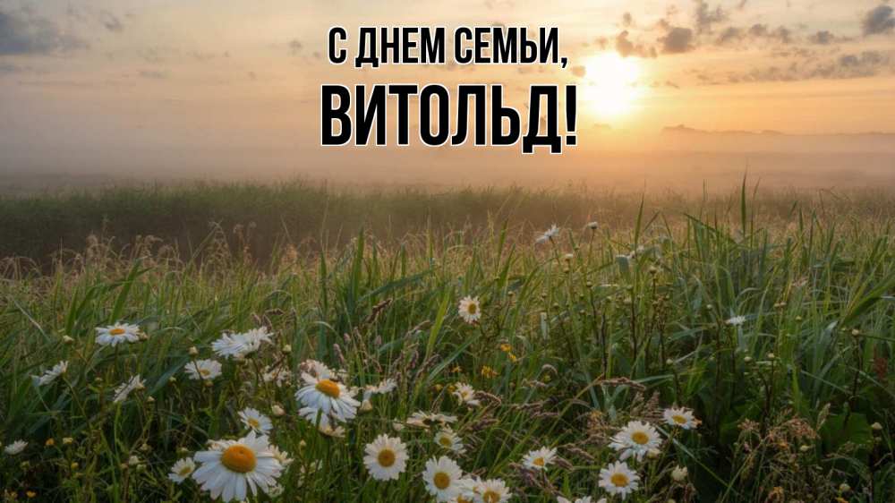 Открытка на каждый день с именем, Витольд С днем семьи с днем семьи Прикольная открытка с пожеланием онлайн скачать бесплатно 