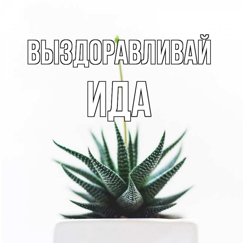 Открытка на каждый день с именем, Ида Выздоравливай короче это непонятная колючка Прикольная открытка с пожеланием онлайн скачать бесплатно 
