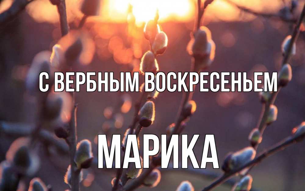 Открытка на каждый день с именем, Марика С вербным воскресеньем верба Прикольная открытка с пожеланием онлайн скачать бесплатно 