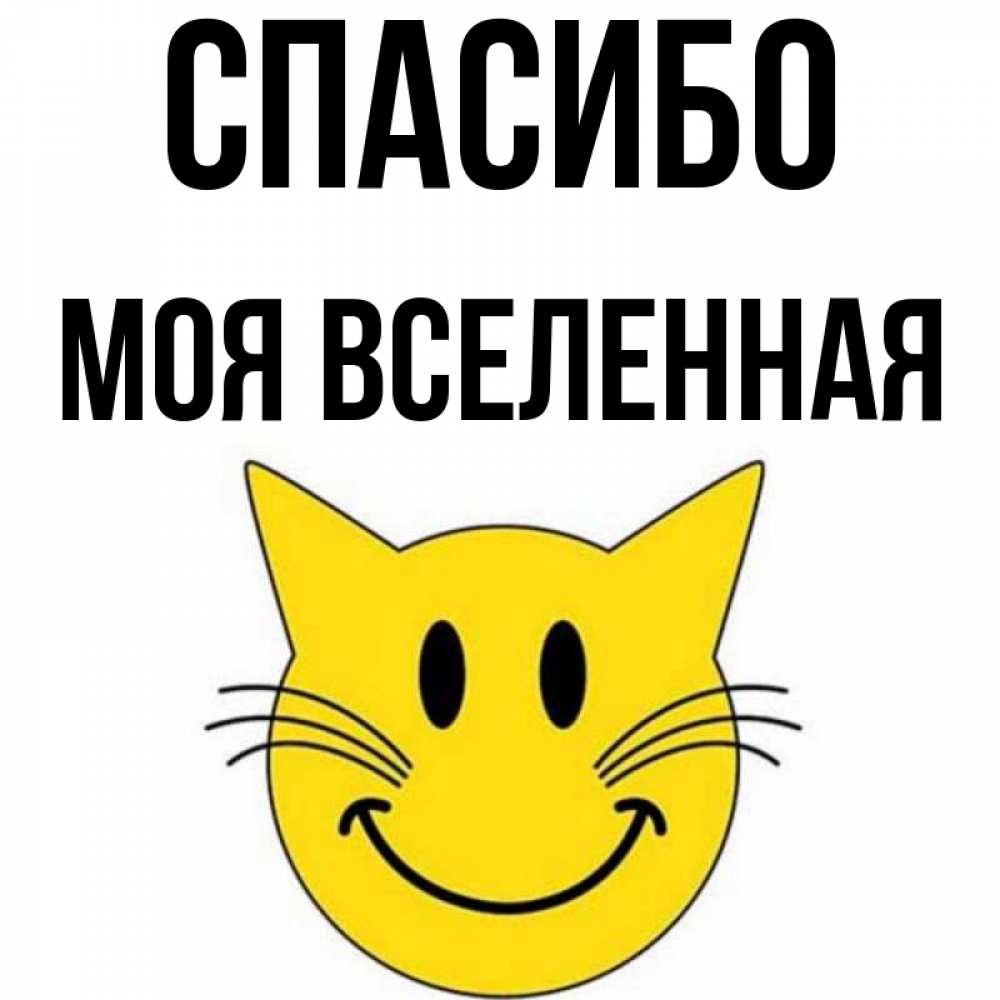 Открытка на каждый день с именем, Моя-вселенная Спасибо улыбающийся смайл кот Прикольная открытка с пожеланием онлайн скачать бесплатно 