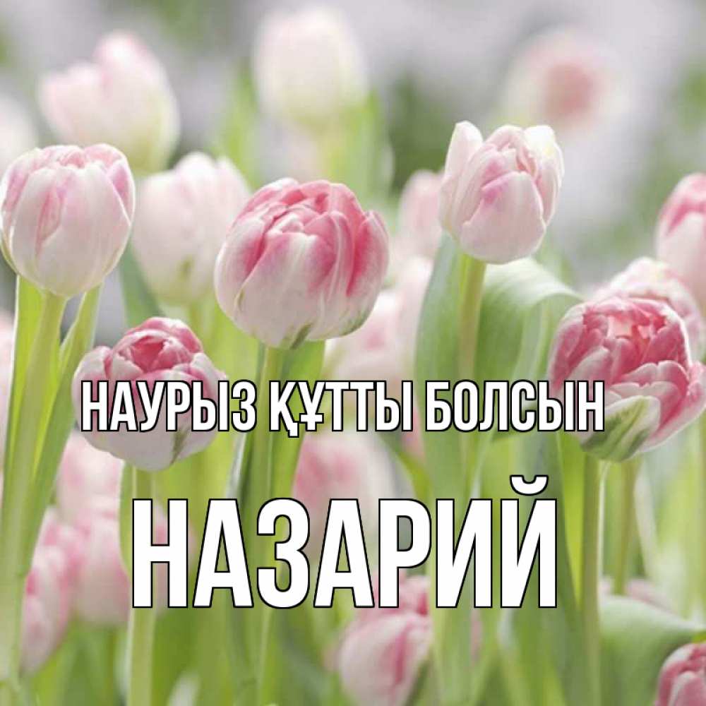 Открытка на каждый день с именем, Назарий Наурыз құтты болсын цветы Прикольная открытка с пожеланием онлайн скачать бесплатно 