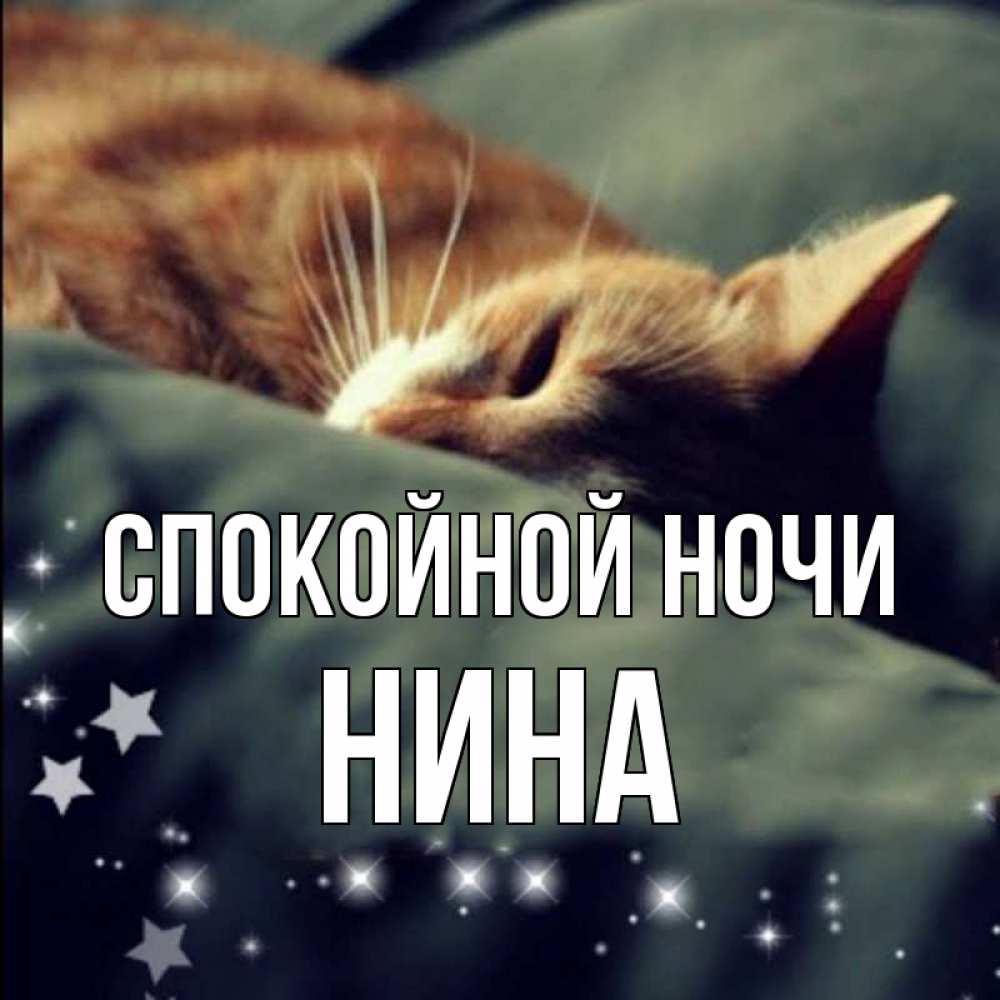 Открытка на каждый день с именем, Нина Спокойной ночи кроватка Прикольная открытка с пожеланием онлайн скачать бесплатно 