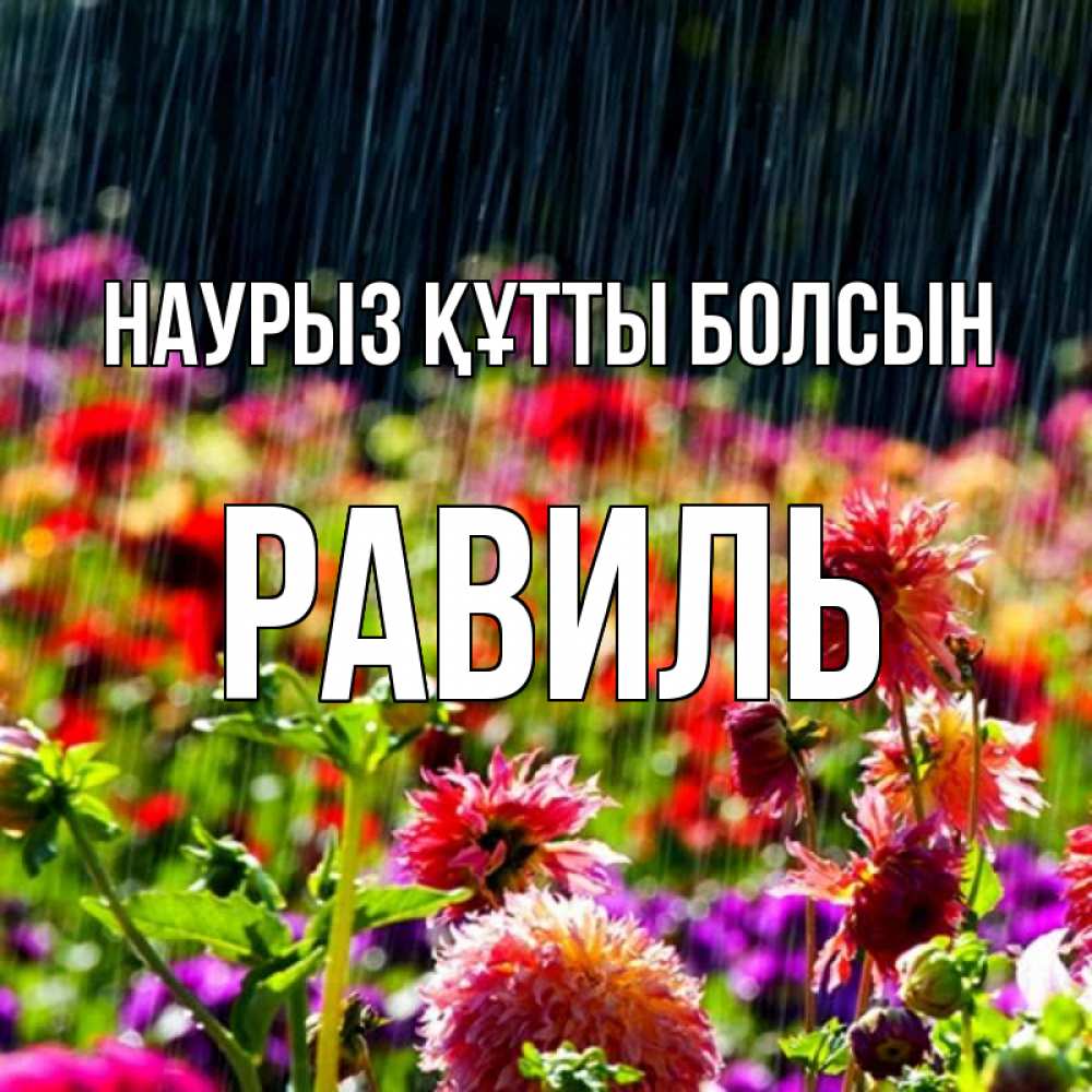 Открытка на каждый день с именем, Равиль Наурыз құтты болсын цветы под дождиком к наурызу Прикольная открытка с пожеланием онлайн скачать бесплатно 