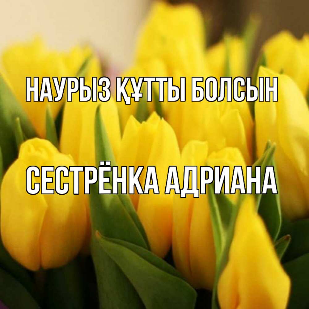 Открытка на каждый день с именем, Сестрёнка-Адриана Наурыз құтты болсын цветы Прикольная открытка с пожеланием онлайн скачать бесплатно 