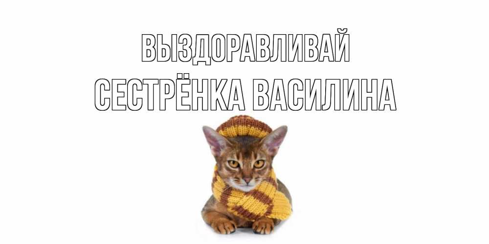 Открытка на каждый день с именем, Сестрёнка-Василина Выздоравливай родные не болейте Прикольная открытка с пожеланием онлайн скачать бесплатно 