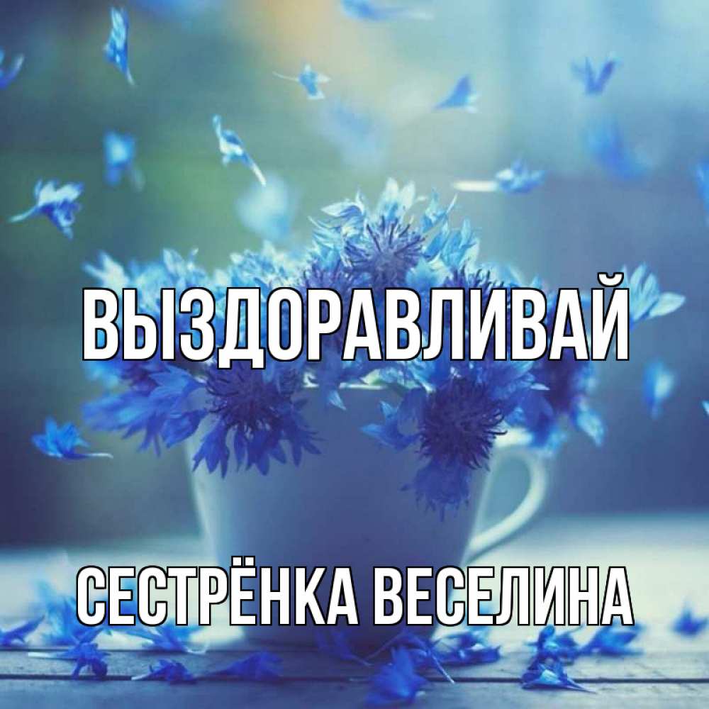Открытка на каждый день с именем, Сестрёнка-Веселина Выздоравливай кружка с зельем и цветами Прикольная открытка с пожеланием онлайн скачать бесплатно 
