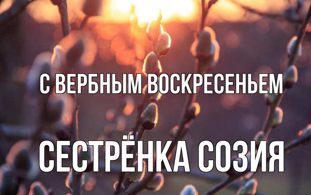 Открытка на каждый день с именем, Сестрёнка-Созия С вербным воскресеньем верба Прикольная открытка с пожеланием онлайн скачать бесплатно 