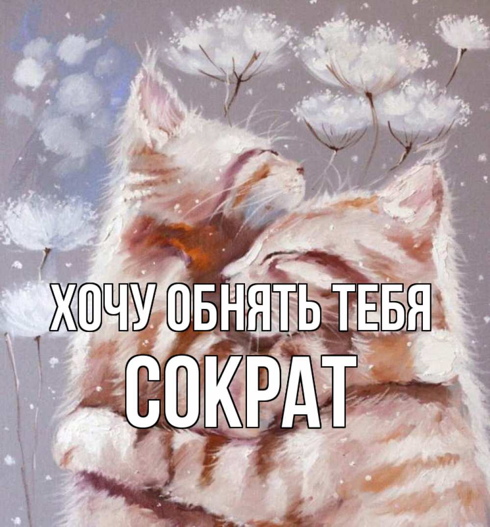 Открытка на каждый день с именем, Сократ Хочу обнять тебя Море и горы Прикольная открытка с пожеланием онлайн скачать бесплатно 