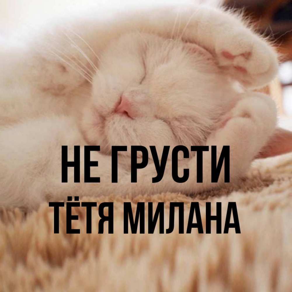 Открытка на каждый день с именем, Тётя-Милана Не грусти Котенок спит Прикольная открытка с пожеланием онлайн скачать бесплатно 