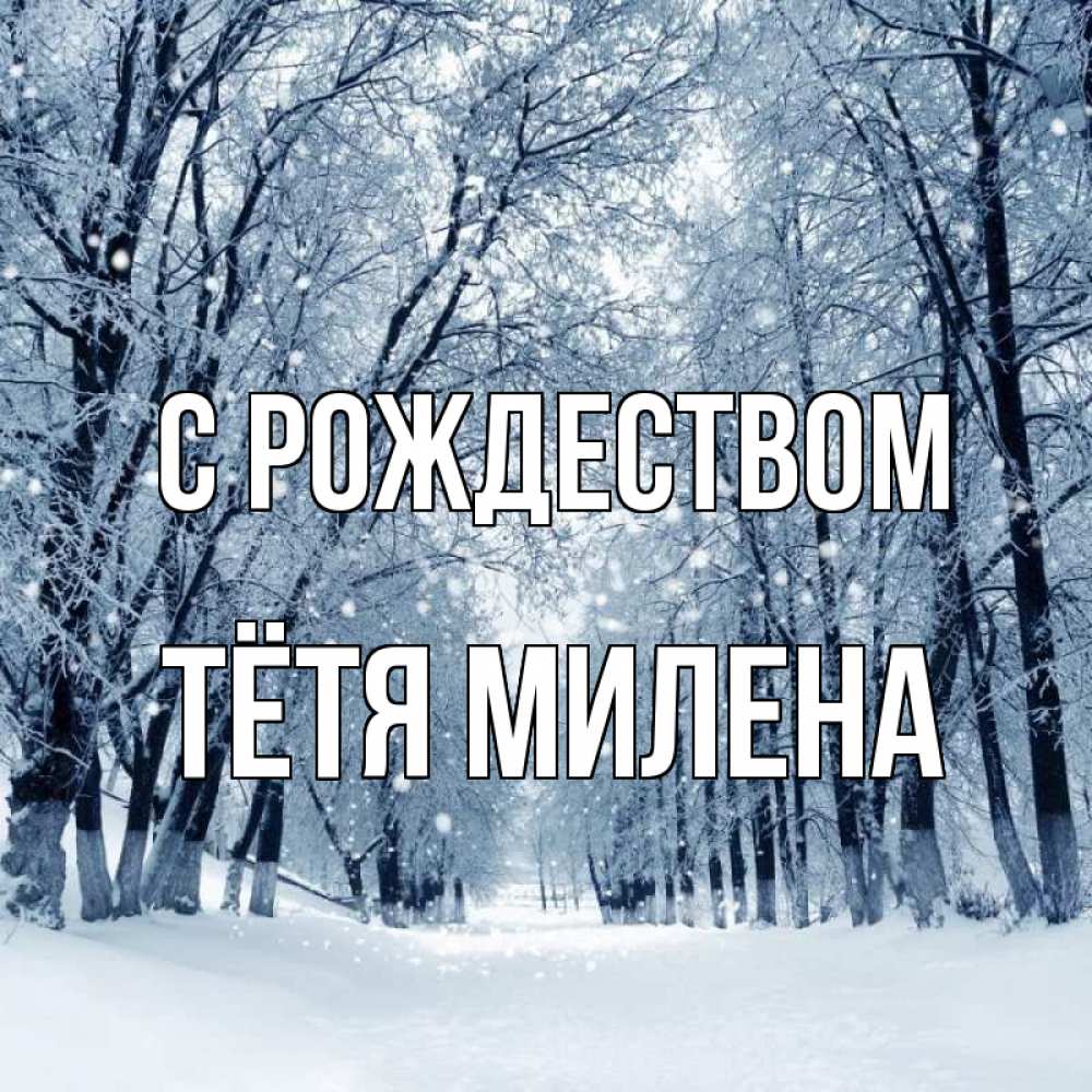 Открытка на каждый день с именем, Тётя-Милена С рождеством снег, лес, парк Прикольная открытка с пожеланием онлайн скачать бесплатно 