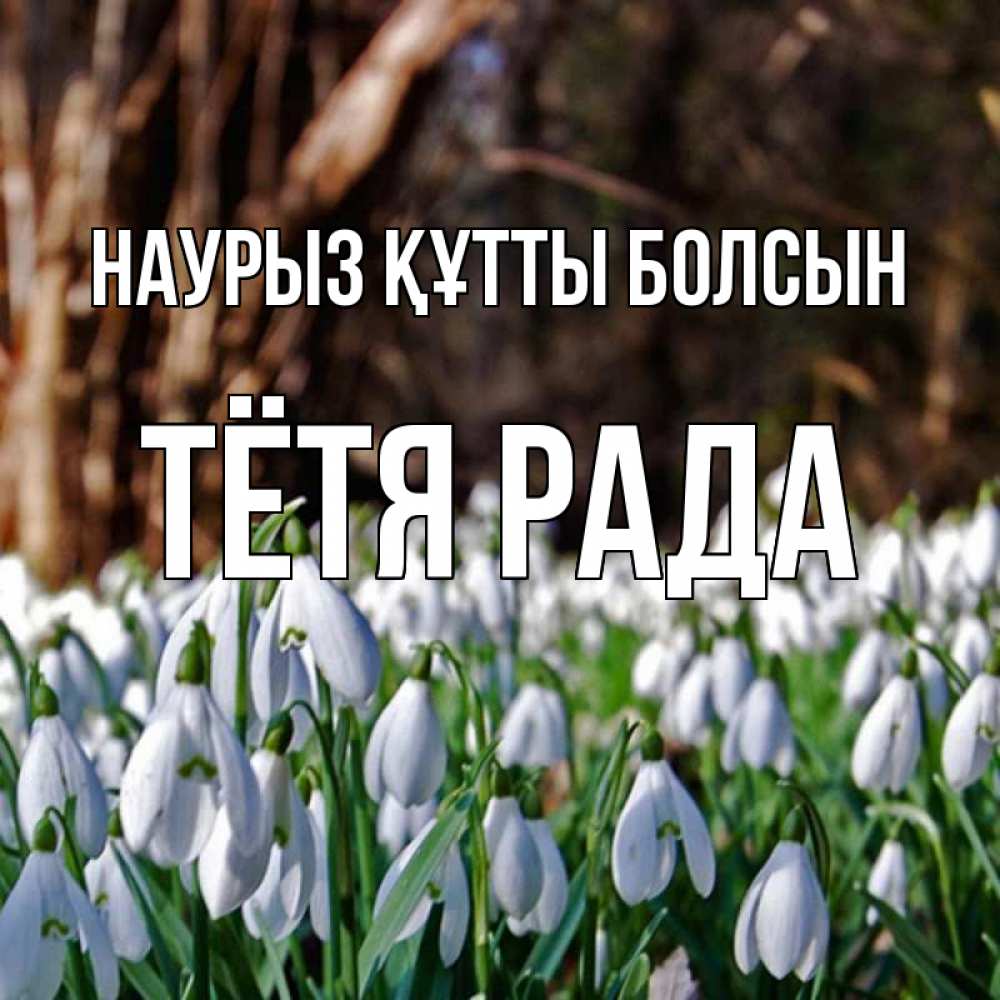Открытка на каждый день с именем, Тётя-Рада Наурыз құтты болсын с подснежниками 1 Прикольная открытка с пожеланием онлайн скачать бесплатно 