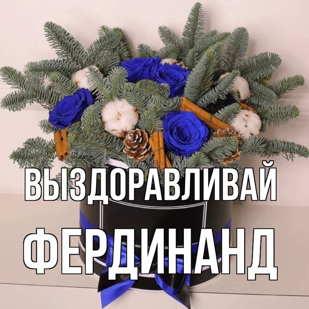 Открытка на каждый день с именем, Фердинанд Выздоравливай короче кто то загрузил эти шишки Прикольная открытка с пожеланием онлайн скачать бесплатно 