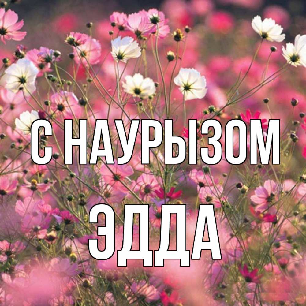 Открытка на каждый день с именем, Эдда С наурызом красиво 1 Прикольная открытка с пожеланием онлайн скачать бесплатно 