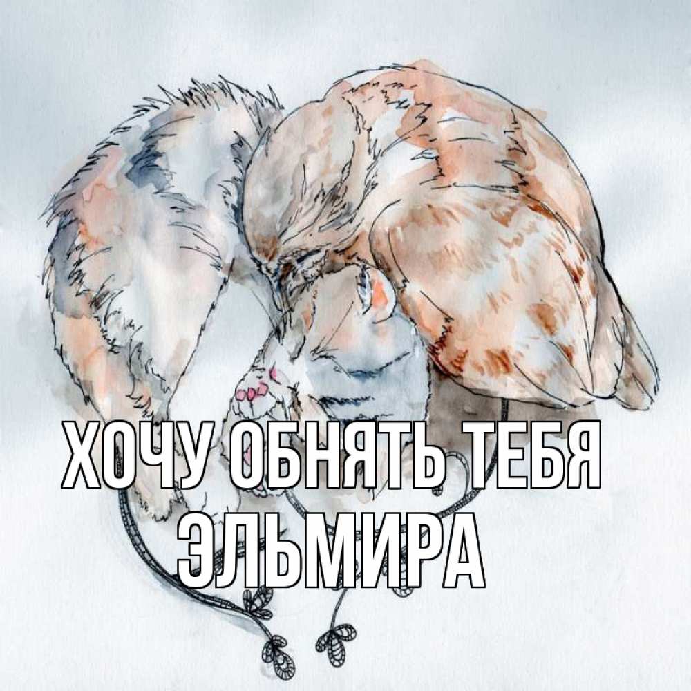 Открытка на каждый день с именем, Эльмира Хочу обнять тебя можно быть вместе даже когда очень разные Прикольная открытка с пожеланием онлайн скачать бесплатно 