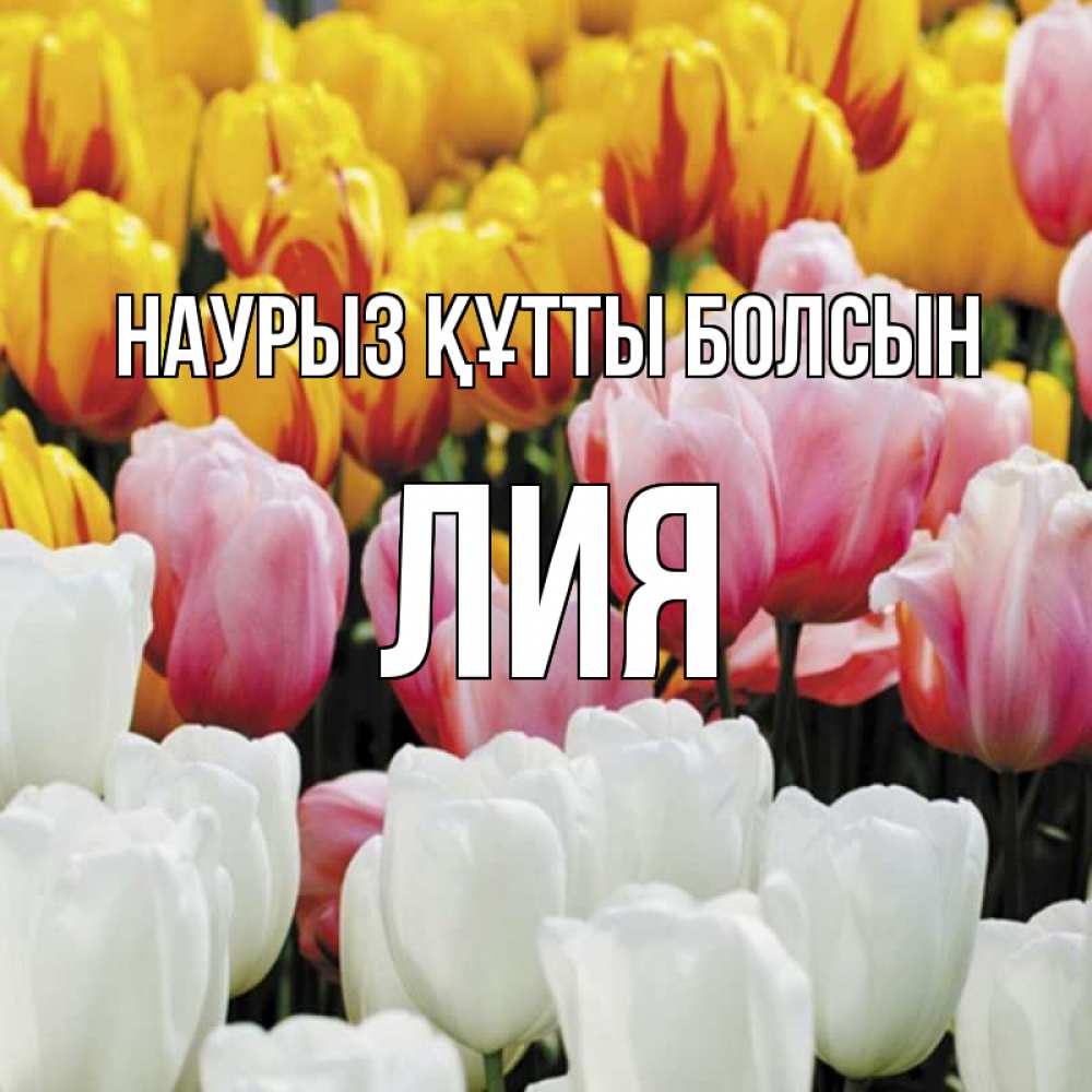 Открытка на каждый день с именем, Лия Наурыз құтты болсын разноцветные цветы Прикольная открытка с пожеланием онлайн скачать бесплатно 