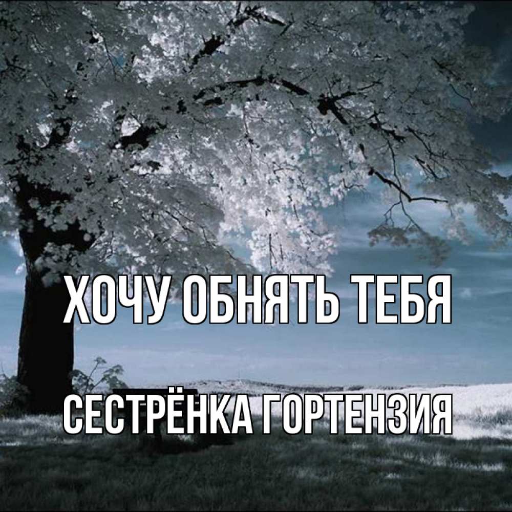 Открытка на каждый день с именем, Сестрёнка-Гортензия Хочу обнять тебя дерево Прикольная открытка с пожеланием онлайн скачать бесплатно 