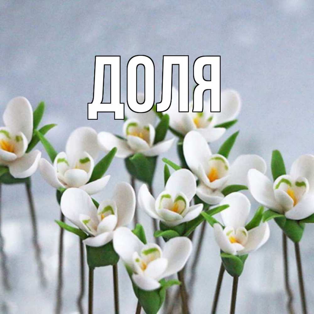 Открытка на каждый день с именем, Доля Главная весенние цветы Прикольная открытка с пожеланием онлайн скачать бесплатно 