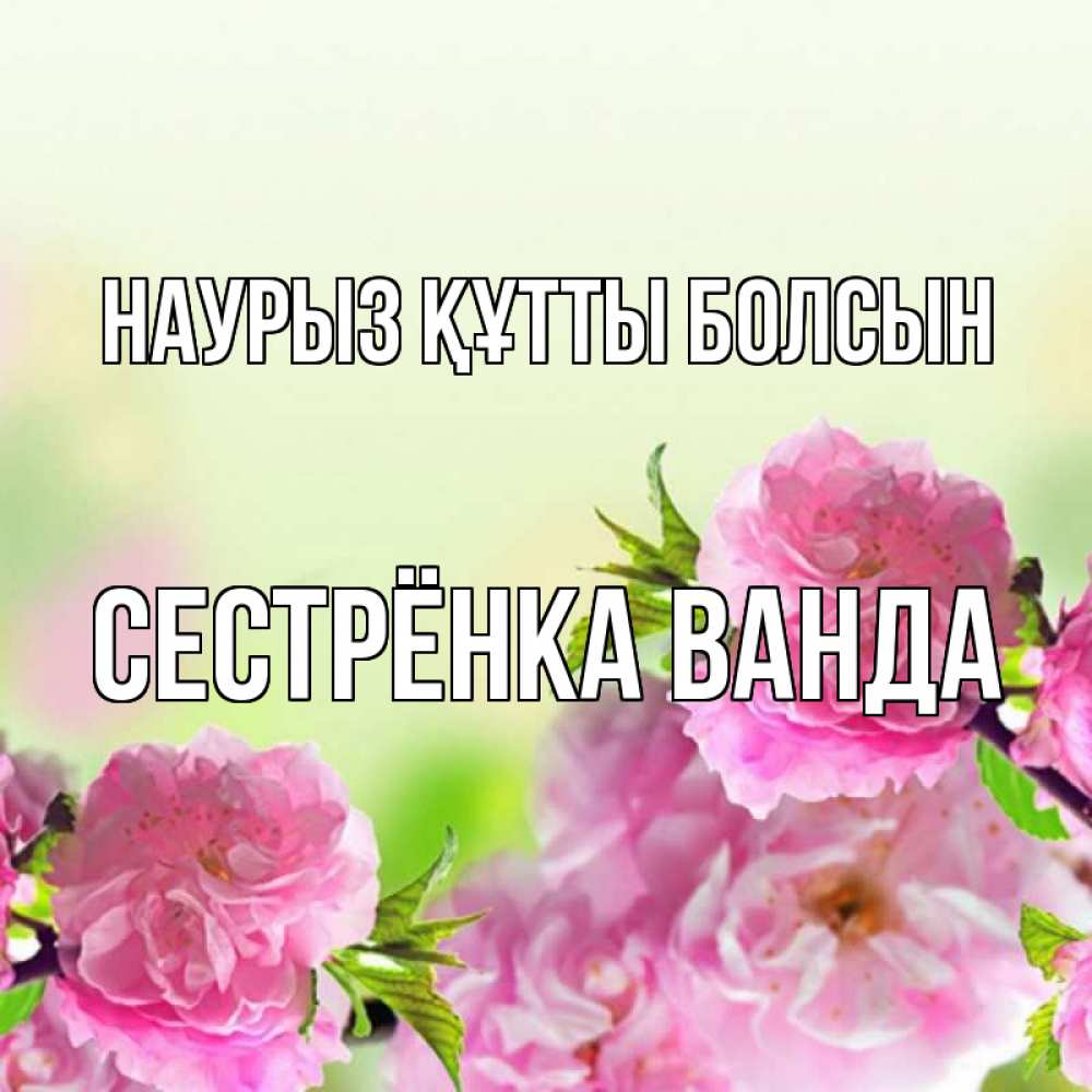 Открытка на каждый день с именем, Сестрёнка-Ванда Наурыз құтты болсын цветы Прикольная открытка с пожеланием онлайн скачать бесплатно 