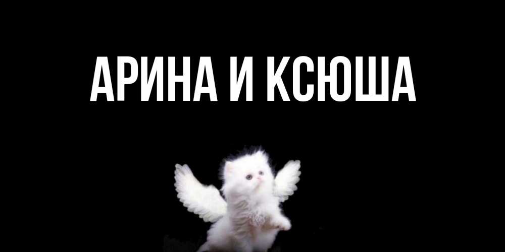 Открытка на каждый день с именем, Арина-и-Ксюша Главная Кот ангел Прикольная открытка с пожеланием онлайн скачать бесплатно 