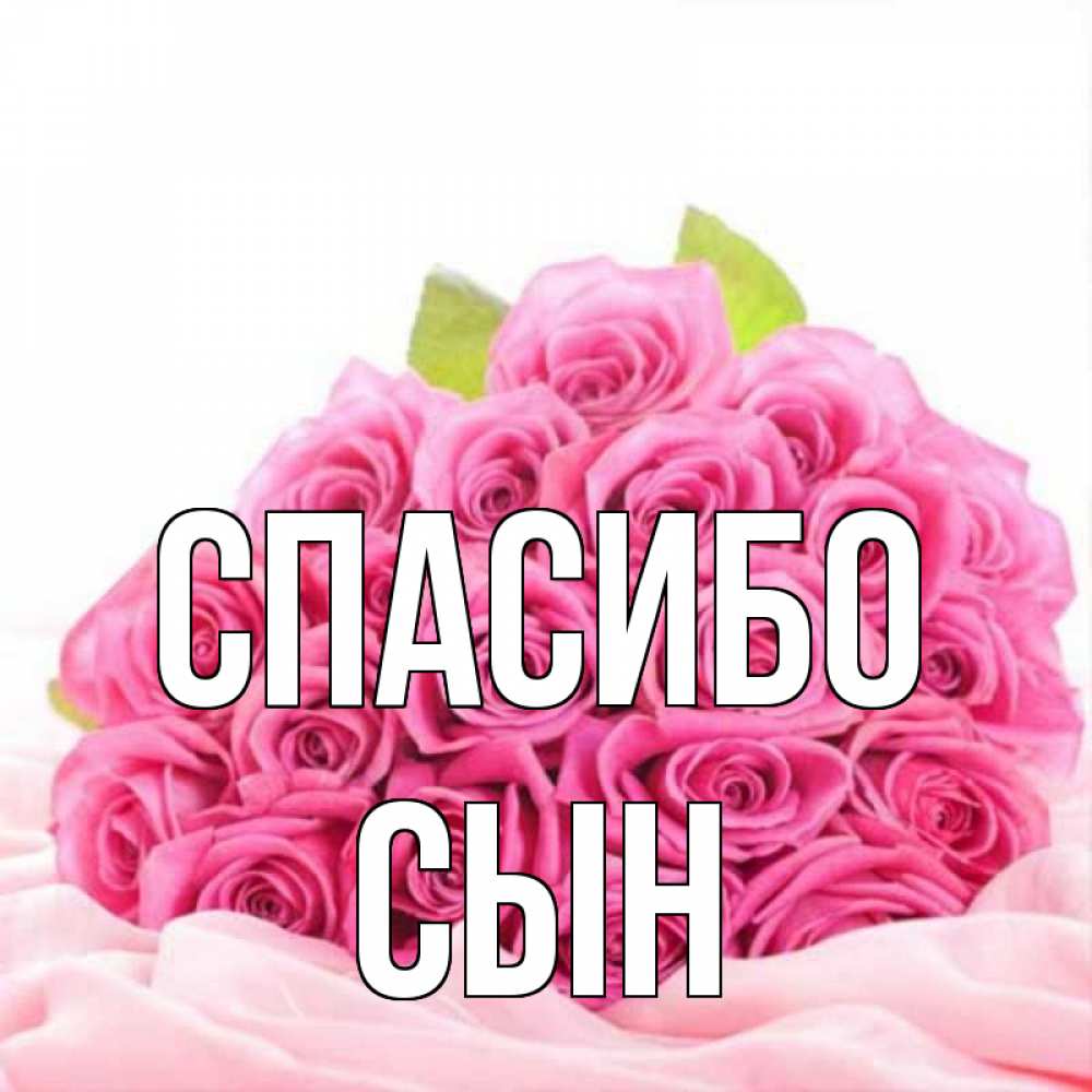 кружится сын спасибо картинки снимая скобу