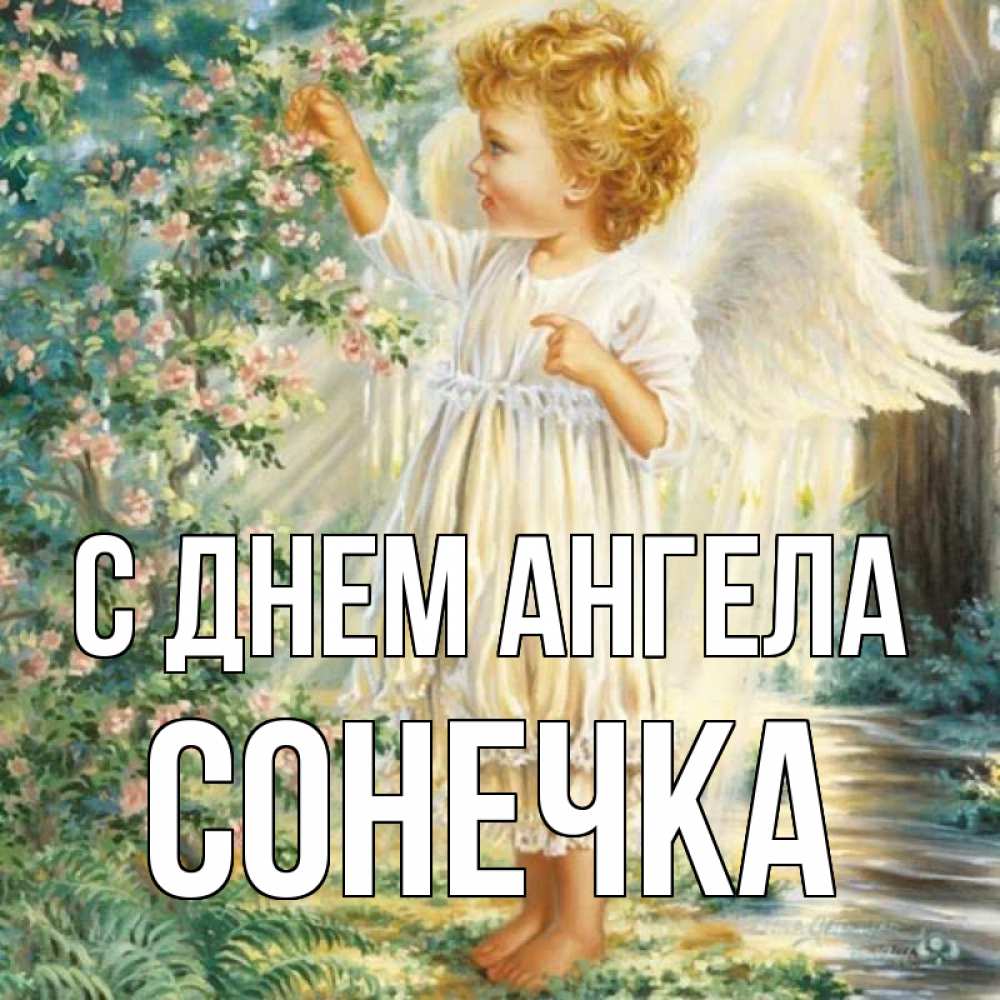 Открытка на каждый день с именем, Сонечка С днем ангела собирает цветы Прикольная открытка с пожеланием онлайн скачать бесплатно 