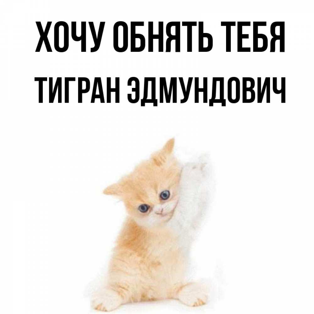 Открытка на каждый день с именем, Тигран-Эдмундович Хочу обнять тебя я хочу очень скорее обнимаешек Прикольная открытка с пожеланием онлайн скачать бесплатно 