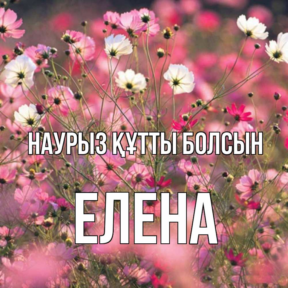 Открытка на каждый день с именем, Елена Наурыз құтты болсын красиво 1 Прикольная открытка с пожеланием онлайн скачать бесплатно 