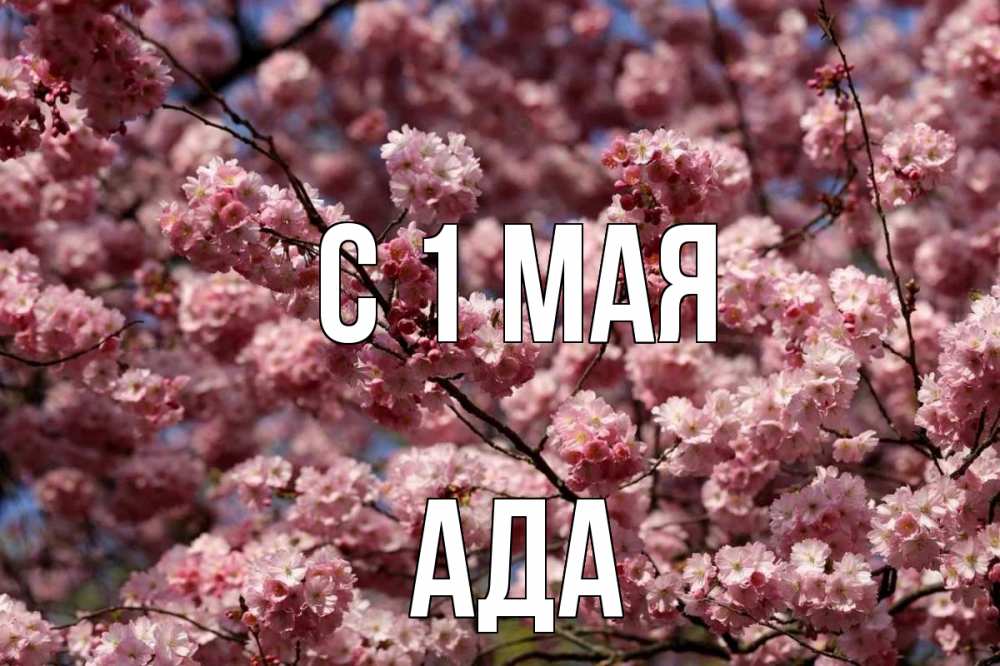 Открытка на каждый день с именем, Ада С 1 мая С 1 мая Прикольная открытка с пожеланием онлайн скачать бесплатно 