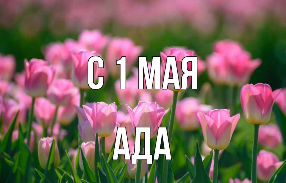 Открытка на каждый день с именем, Ада С 1 мая С 1 мая Прикольная открытка с пожеланием онлайн скачать бесплатно 