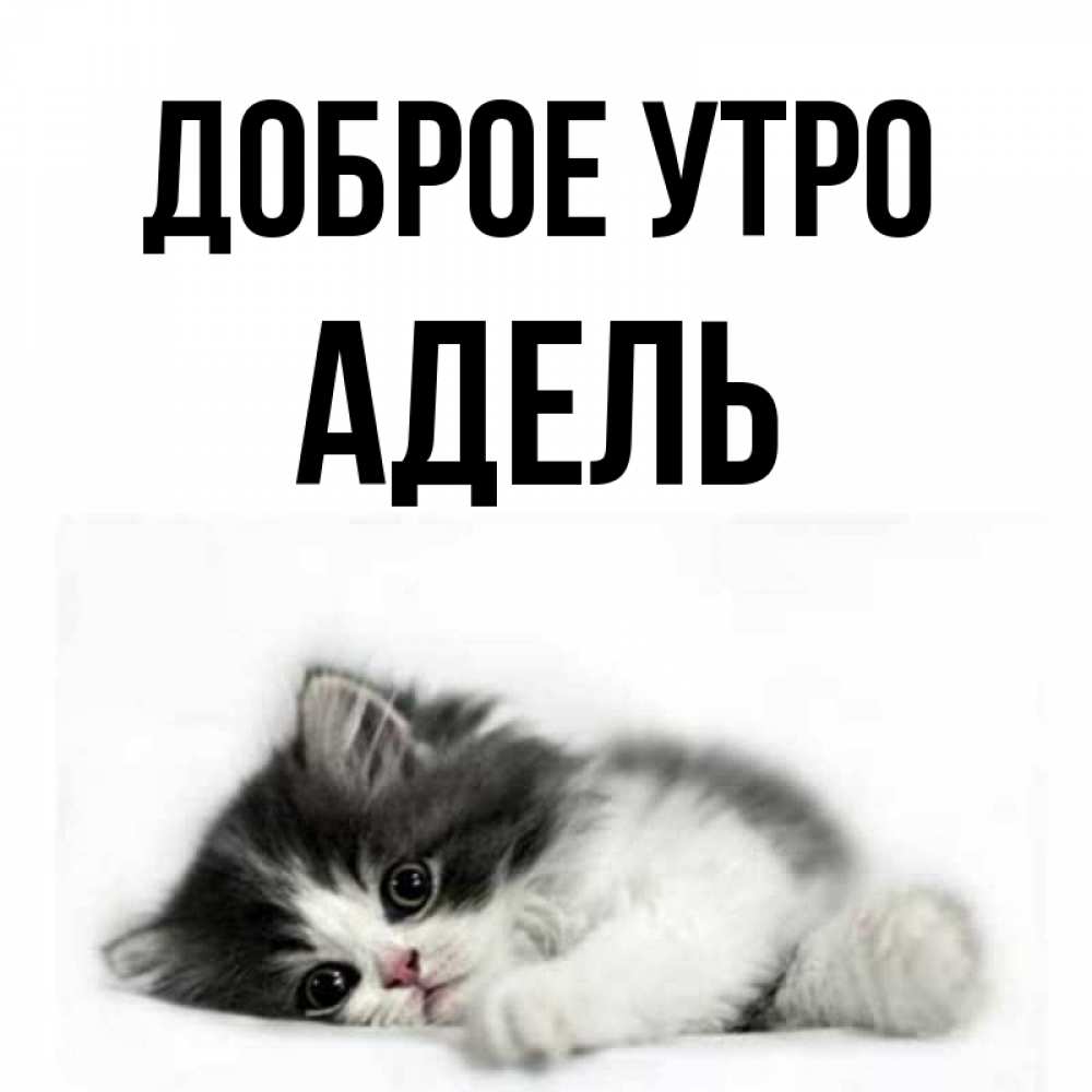 Открытка на каждый день с именем, Адель Доброе утро кот лапки Прикольная открытка с пожеланием онлайн скачать бесплатно 