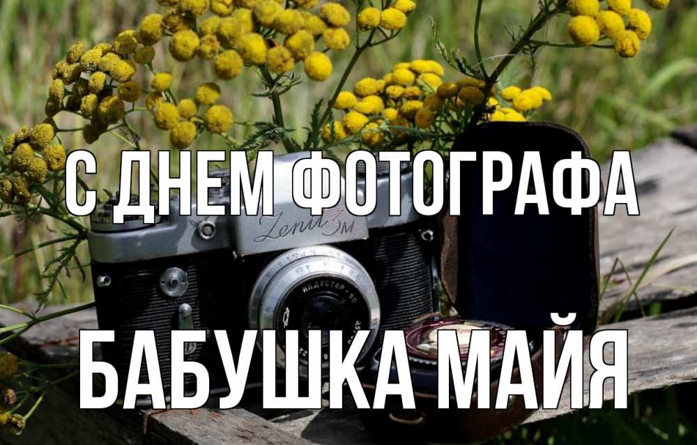 Открытка на каждый день с именем, Бабушка-Майя С днем фотографа с днем фотографа Прикольная открытка с пожеланием онлайн скачать бесплатно 