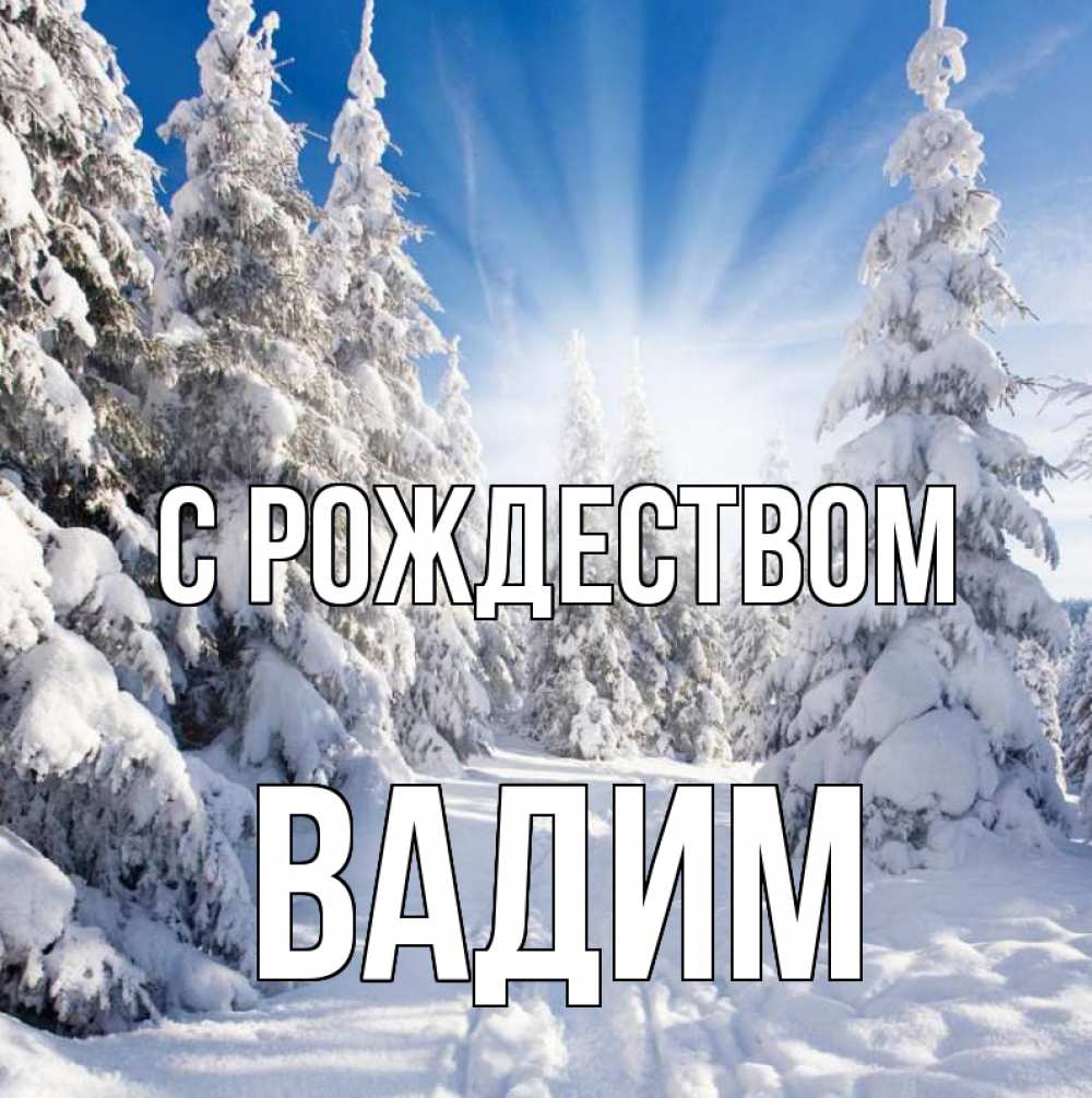 Открытка на каждый день с именем, Вадим С рождеством зима, лес Прикольная открытка с пожеланием онлайн скачать бесплатно 