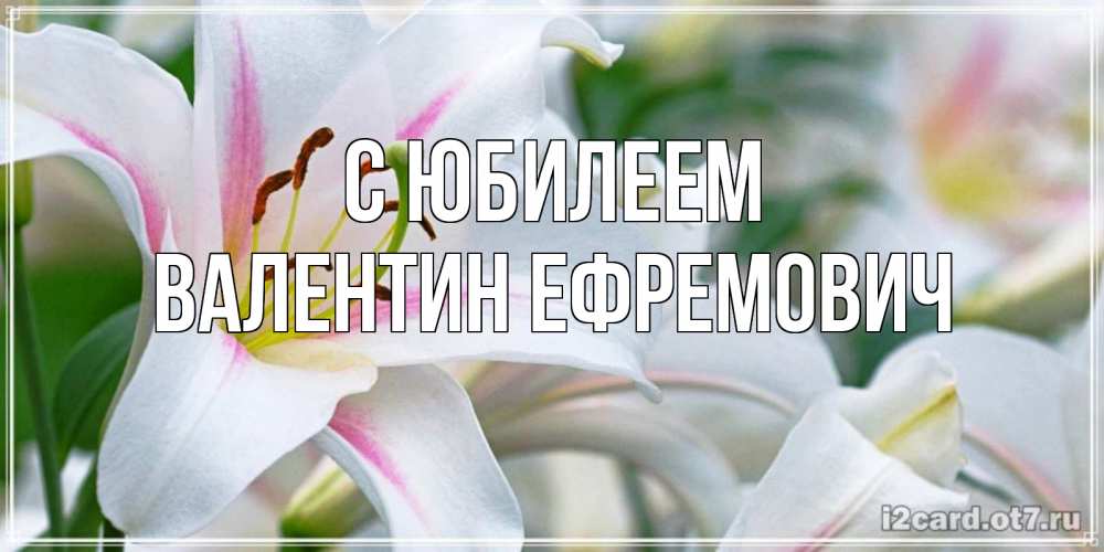 Открытка на каждый день с именем, Валентин-Ефремович С юбилеем открытка с белой лилией Прикольная открытка с пожеланием онлайн скачать бесплатно 